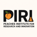 pirifoundation.org